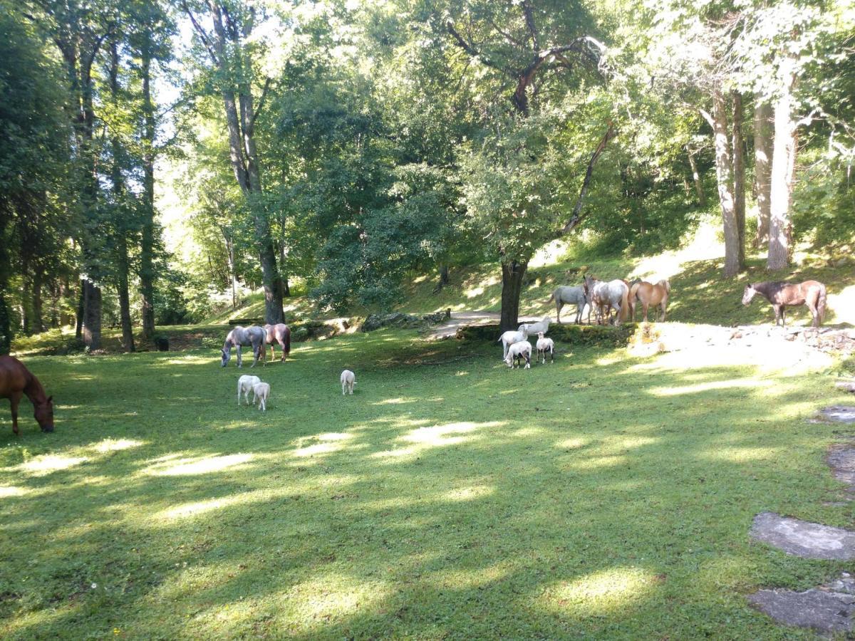 Arrowmont Stables & Cabins Cullowhee Exterior photo