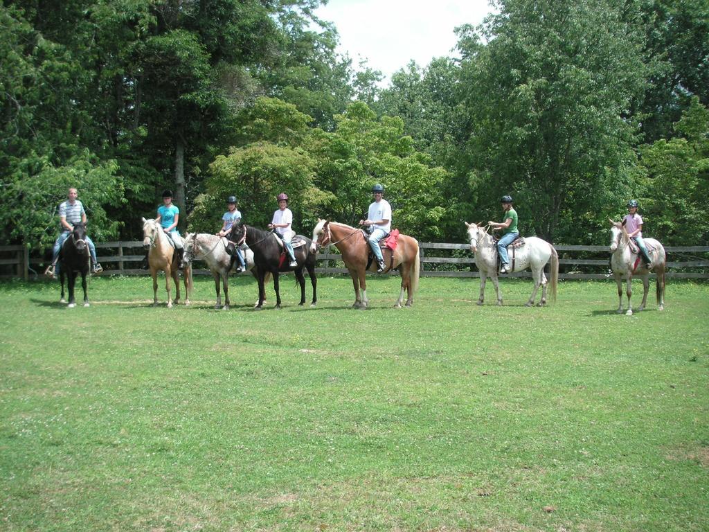 Arrowmont Stables & Cabins Cullowhee Exterior photo